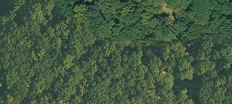 Wooded Recreational Land Tract