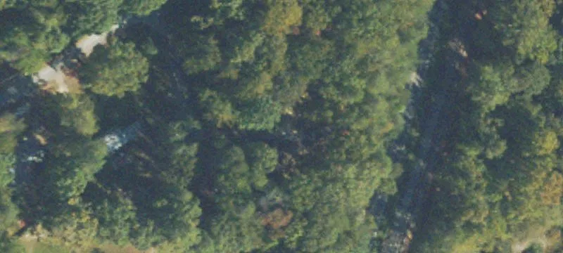 Wooded Home Lot