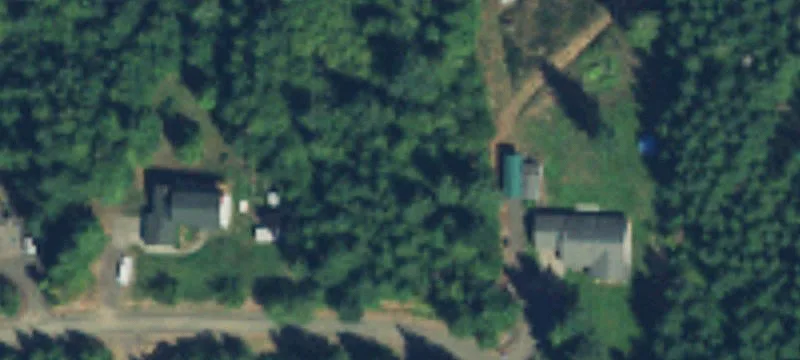 Wooded Waterfront Land Parcel