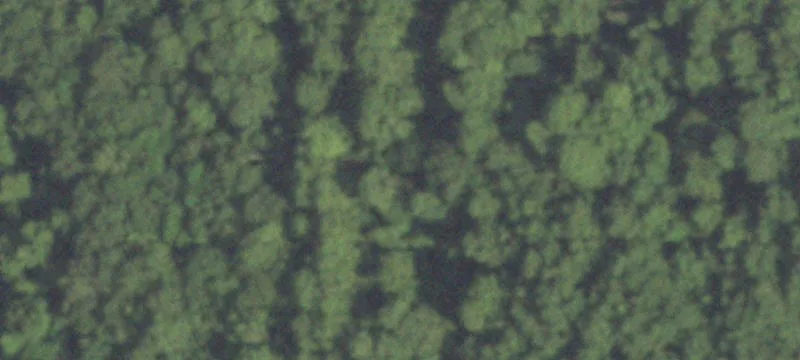 Agricultural Land Tract