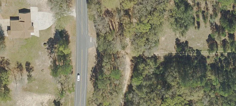 Timberland Hunting and Agricultural Tract