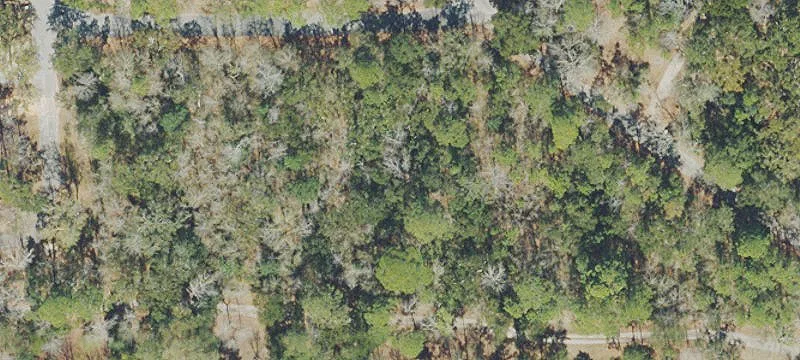Waterfront Land Lots