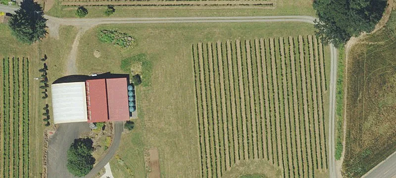 Turnkey Gravity Flow Winery Estate