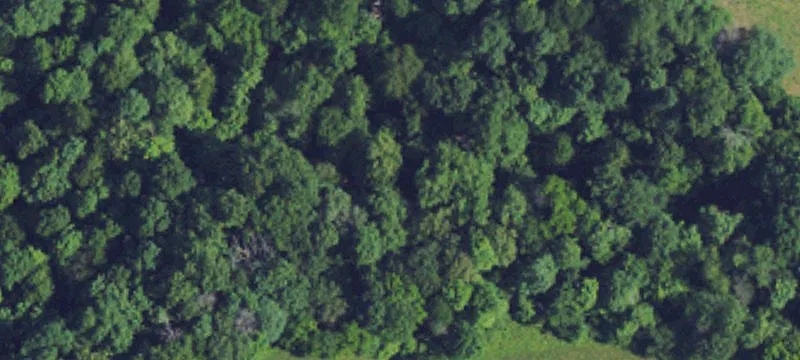 Wooded Waterfront-Adjacent Building Lot
