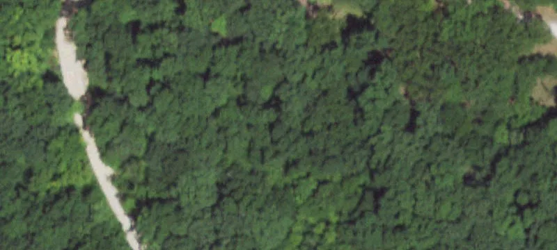 Wooded Residential Acreage