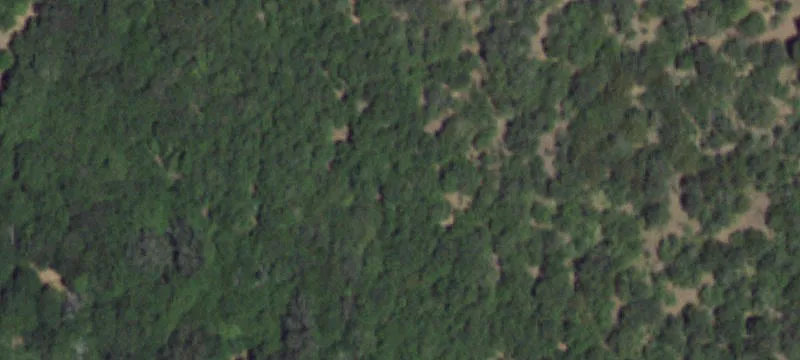 Acreage with Mature Trees