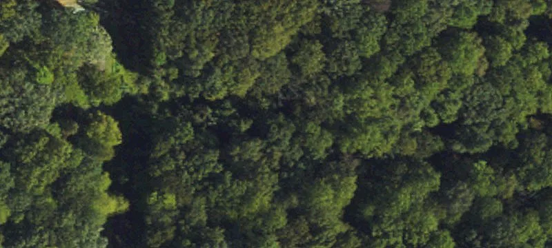 Wooded Residential Development Lot