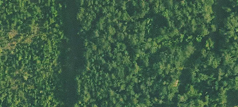 Partially Wooded Farmland Tract