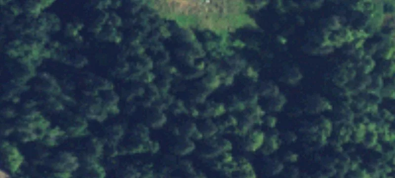 Treed Residential Development Land