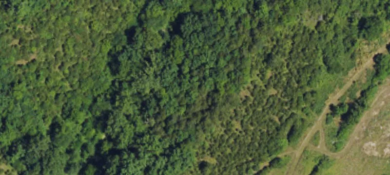 Secluded Hunting and Equestrian Acreage