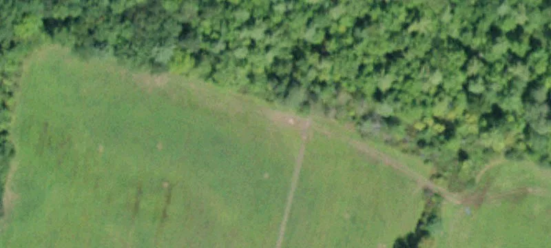 Wooded Recreational Land Parcel