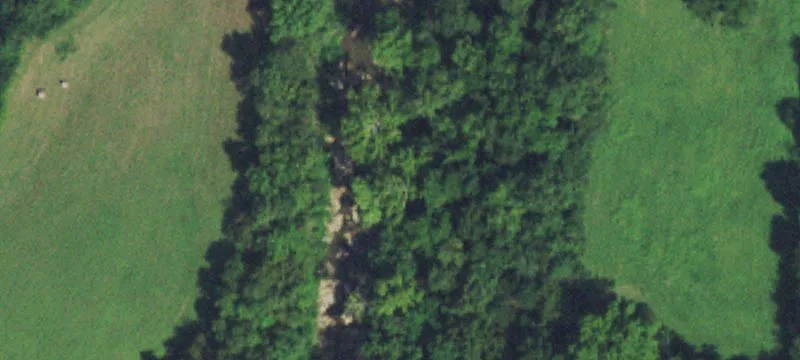 Waterfront Hunting Land
