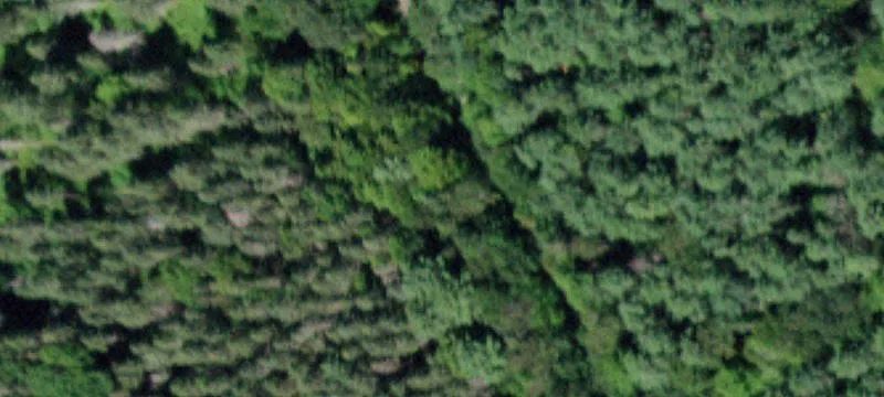 Recreation Land Backing State Forest