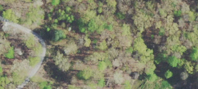 Unrestricted Wooded Land Lots