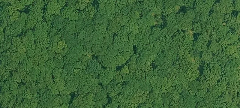 Residential Golf Community Lot