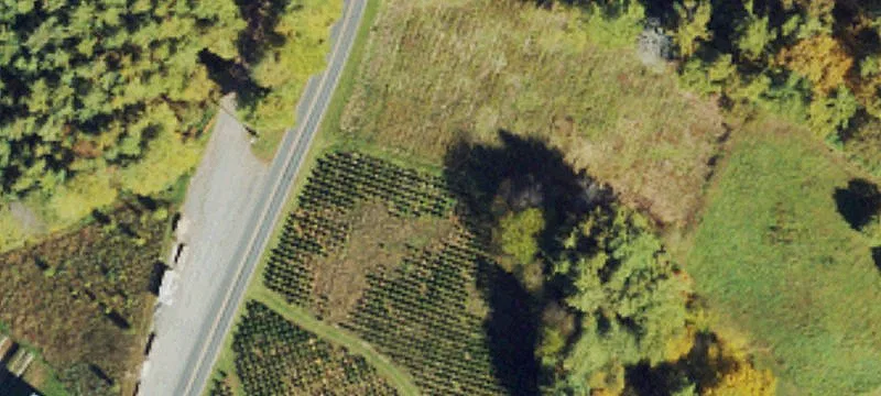 Mountain Recreational Land Tract