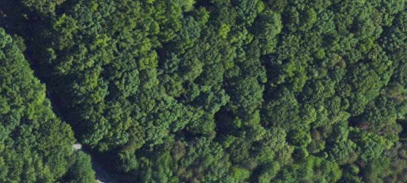 Executive Wooded Home Site