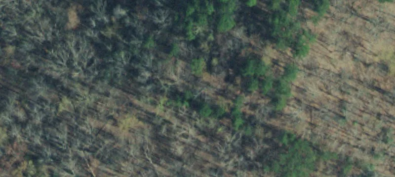 Private Acreage Home Site
