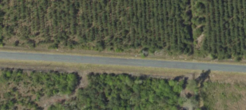 Hunting and Recreation Land