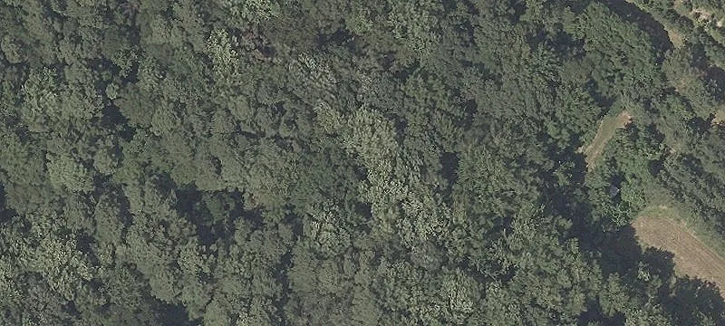 Hunting Land Tract