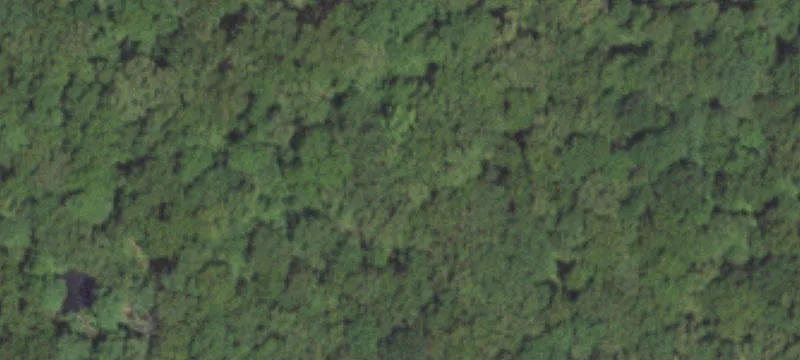 Recreational Hunting and Pasture Land