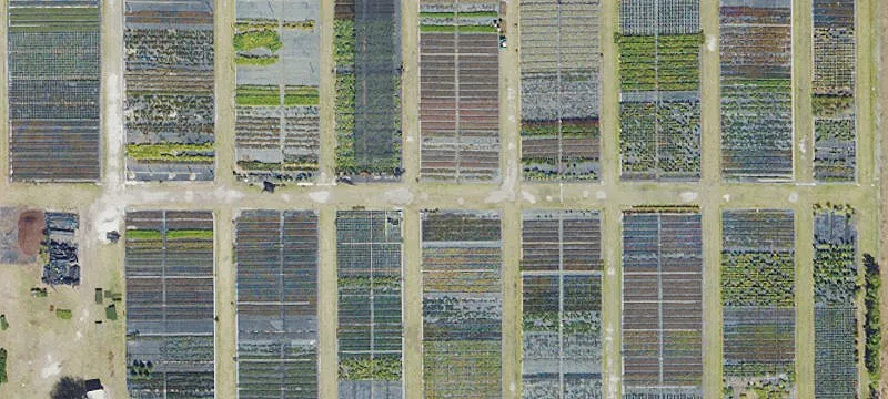 Agricultural Property for Lease