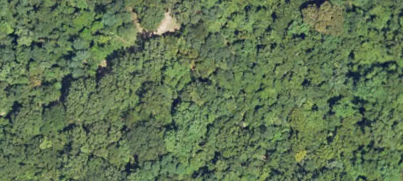 Recreational Hunting Land with Creek