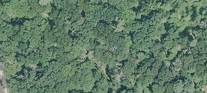Industrial Land Parcel