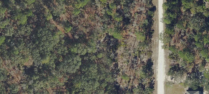 Buildable Residential Acreage Lot
