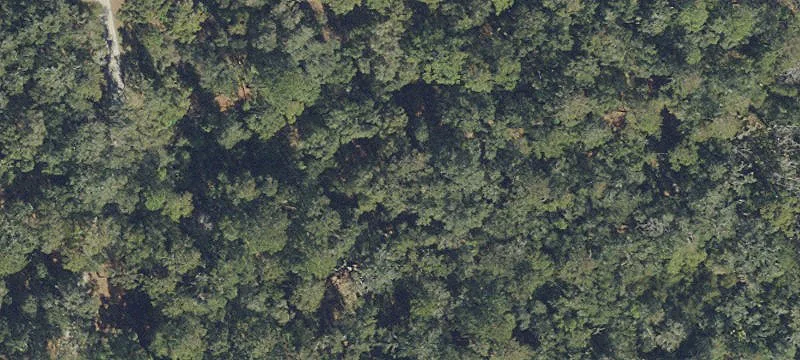 Construction-Ready Custom Home Lot