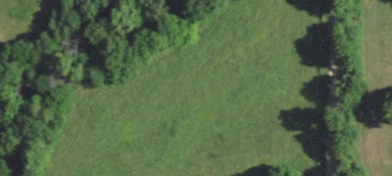 Wooded Recreational Land Parcel