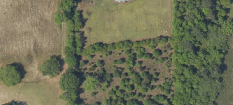 Wooded Residential Lot With Utilities