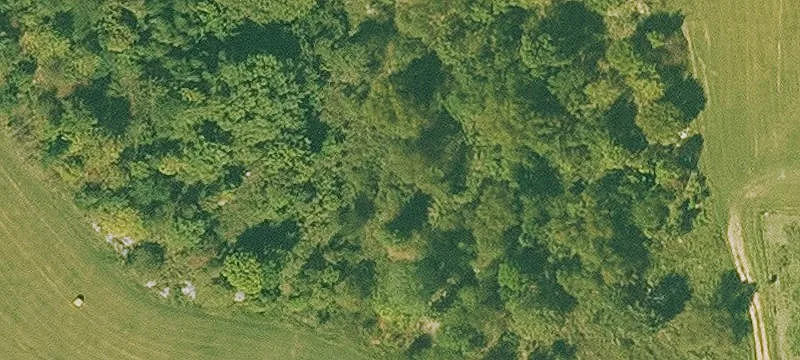 Agricultural Land Tract For Sale