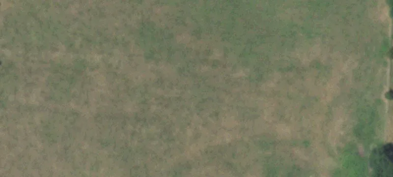 Residential Building Lot with Trees