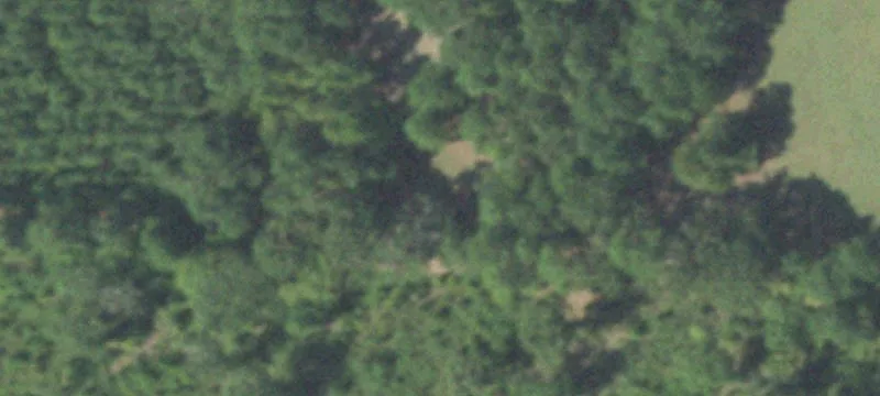 Mixed Hardwood and Pine Tract