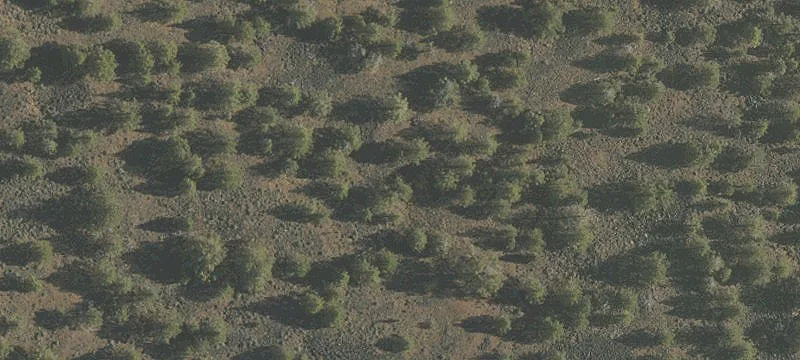 Irrigated Agricultural Land with Pivots