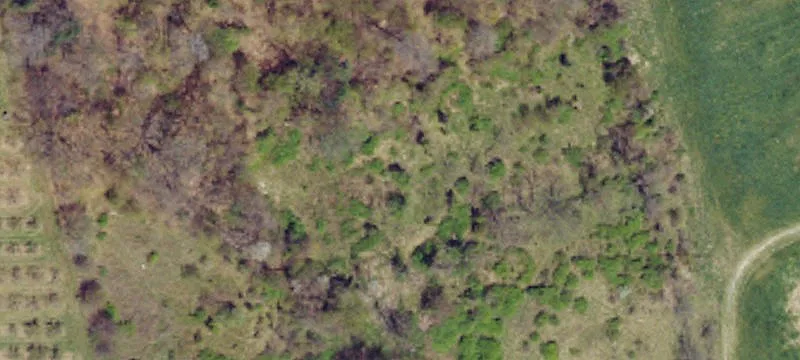 Rural Residential & Hunting Land