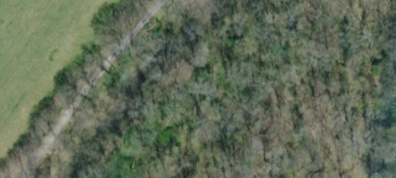 Wooded Mountain View Land Tract