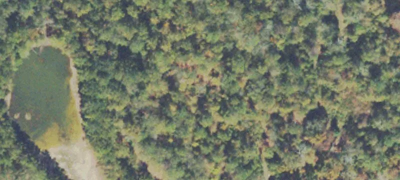 Multi-Parcel Acreage Near Lake