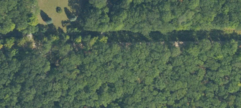 Hunting & Recreational Land