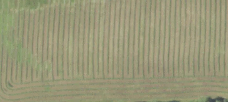Residential Buildable Acreage Lot