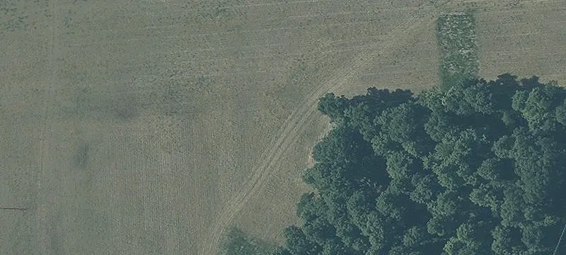 Wooded Recreational Land Parcel
