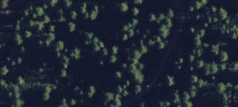 Lake View Buildable Land