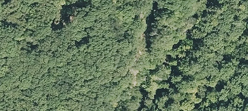 Cleared Recreational Hunting Land