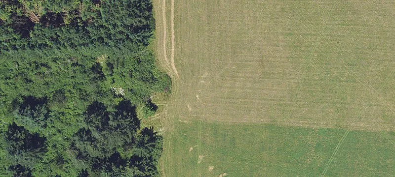 Buildable Farmland Parcel