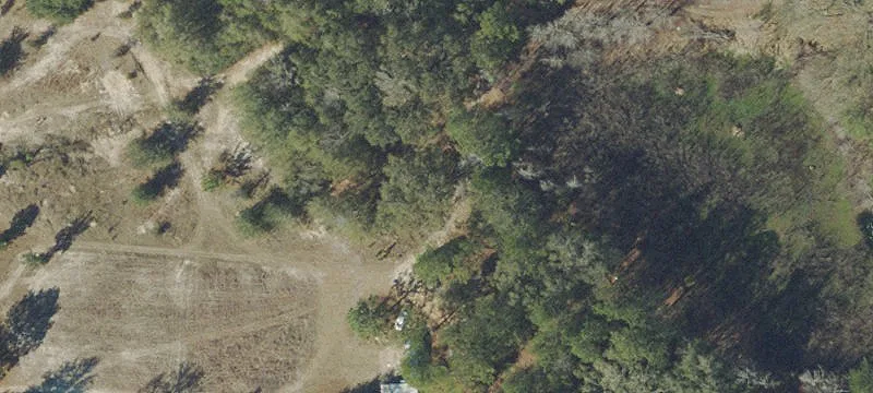 Wooded Land with Utilities In Place