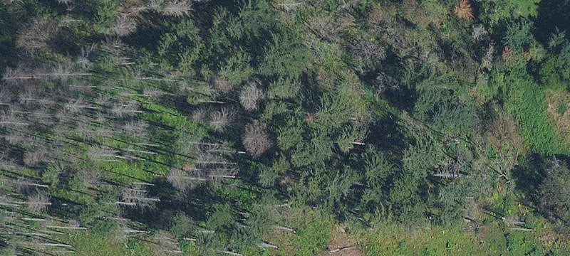 Secluded Residential Land Parcel