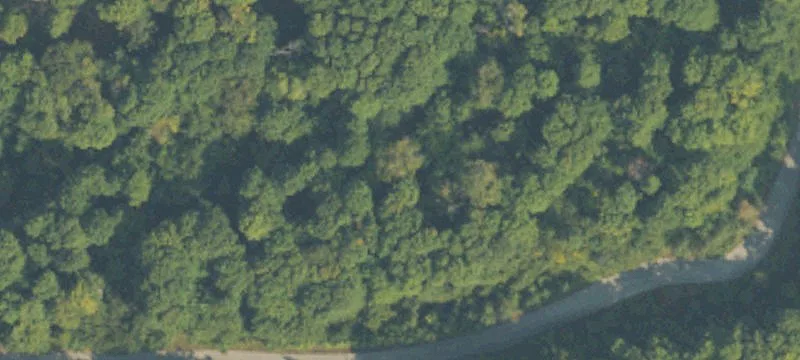 Wooded Golf Course Lot