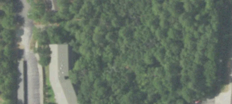 Wooded Development Land with Frontage
