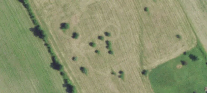 Flat Tree-Scattered Acreage